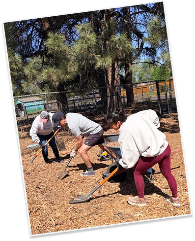Credera team volunteering