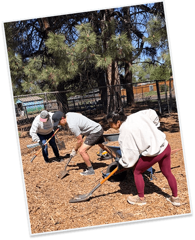 Credera team volunteering